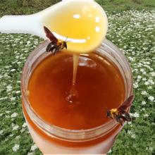  云南华联蜂业综合开发有限责任公司 主营 蜂蜜 蜂花粉 蜂王浆