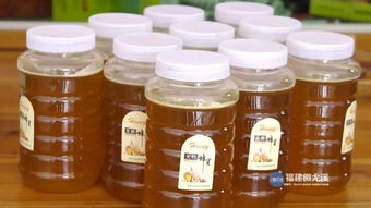 求助 600斤蜂蜜销售难,尤溪贫困蜂农愁坏了 明天一起为他助力